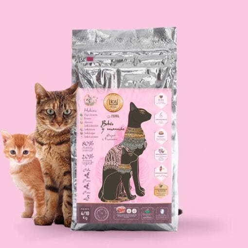 KA KITTEN Bebés y Mamás