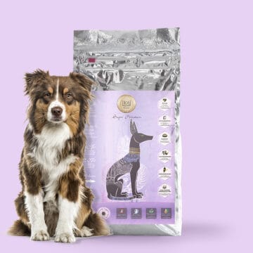Digestion-sensible-10kg-Pienso-super-premium-perro-kasaludintegral-1080x1080px