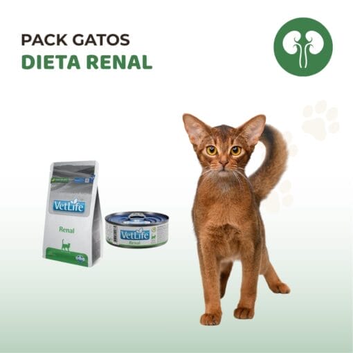 Gatos - DIETA RENAL